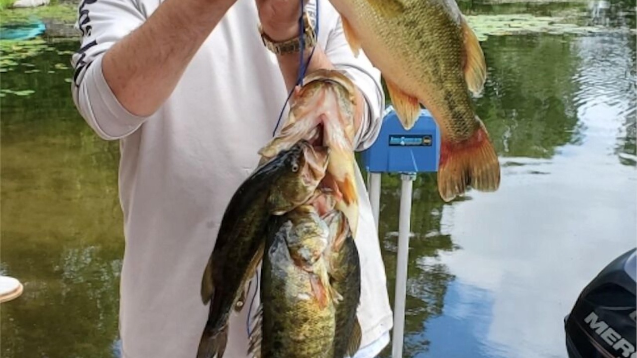 Photo of Outdoor in Trent Lakes