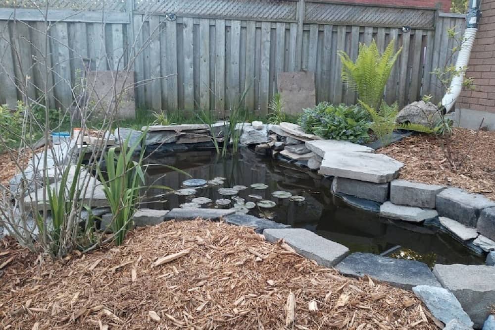 Photo of Outdoor in Kingston