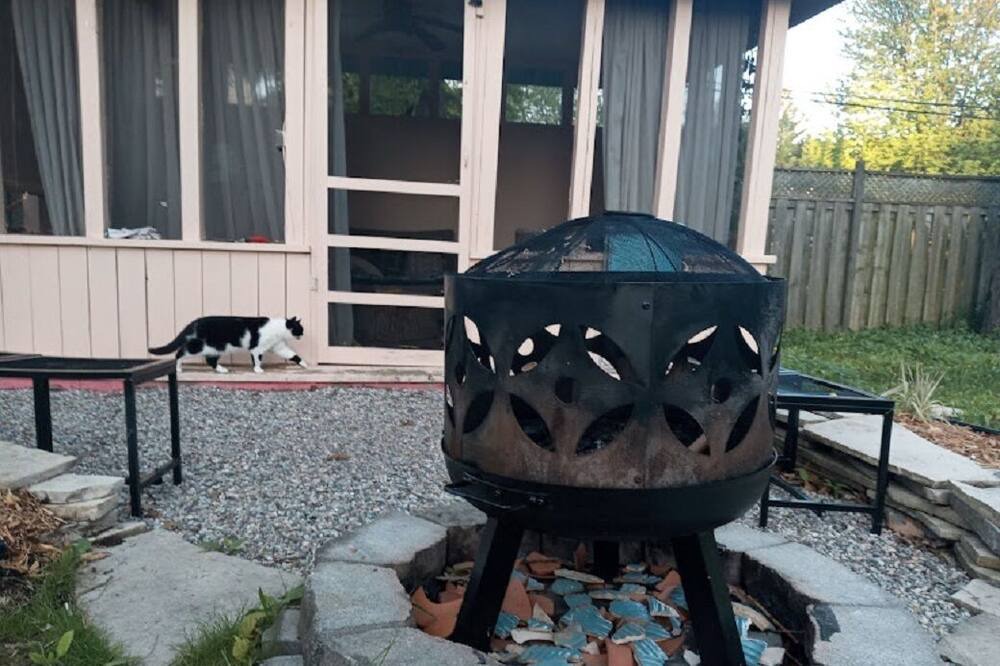 Photo of Outdoor in Kingston