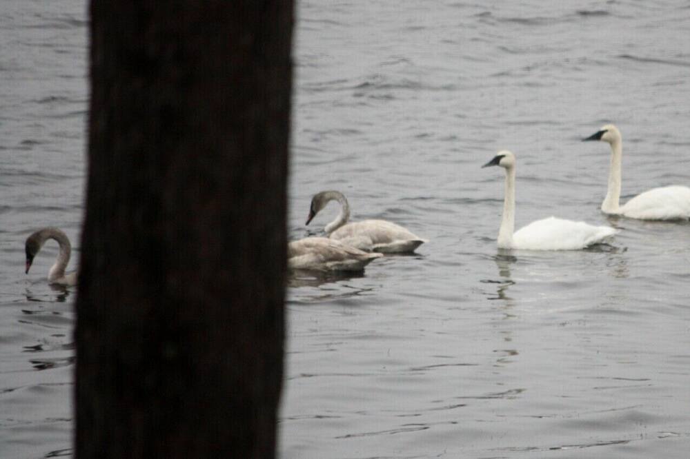 Photo of Others in Squaw Lake