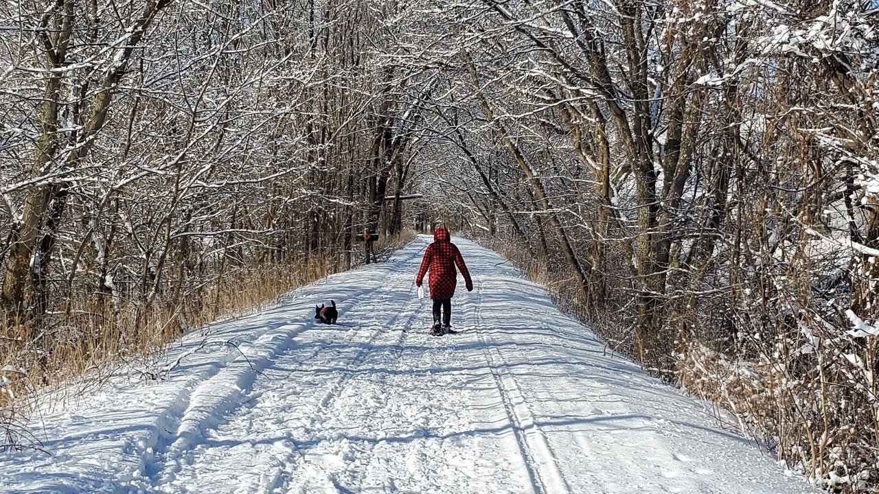 Photo of Others in Lanesboro