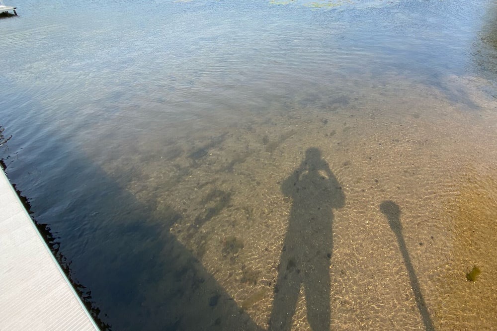 Photo of Others in Maple Lake