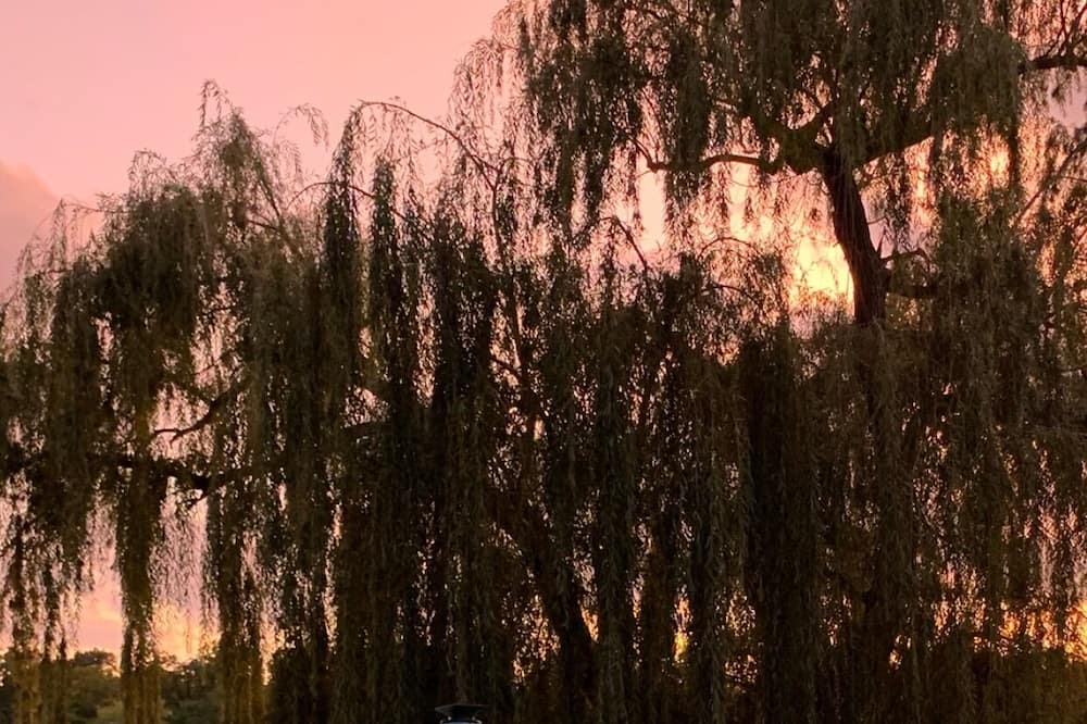 Photo of Outdoor in Maple Lake