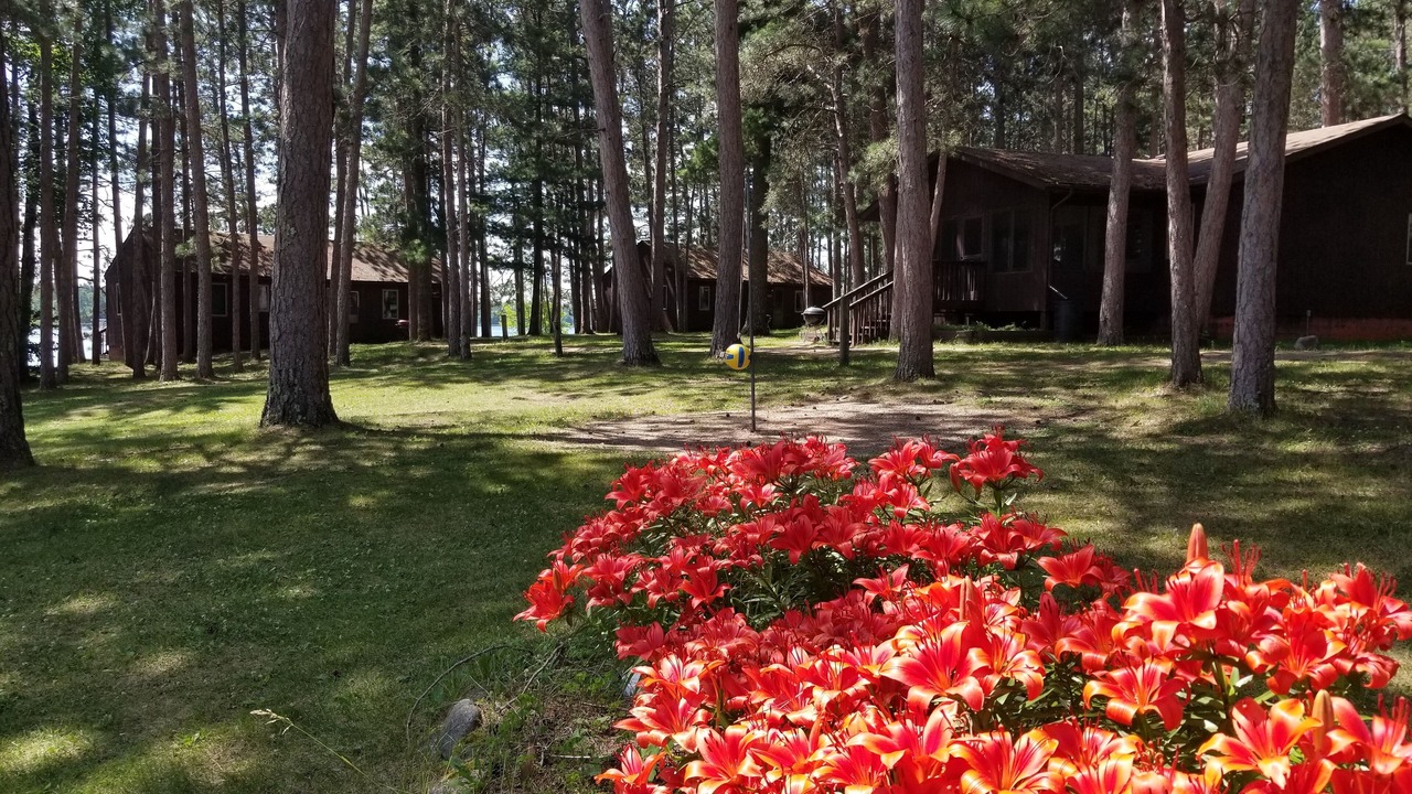 Photo of Outdoor in Park Rapids