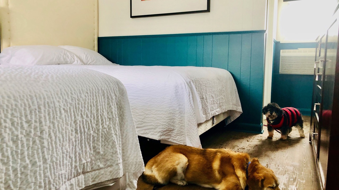 Photo of Bedroom in Schreiber