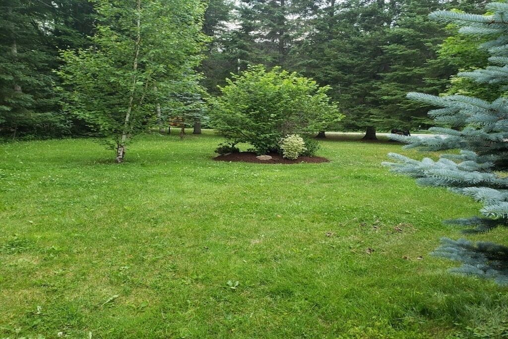 Photo of Outdoor in Baddow