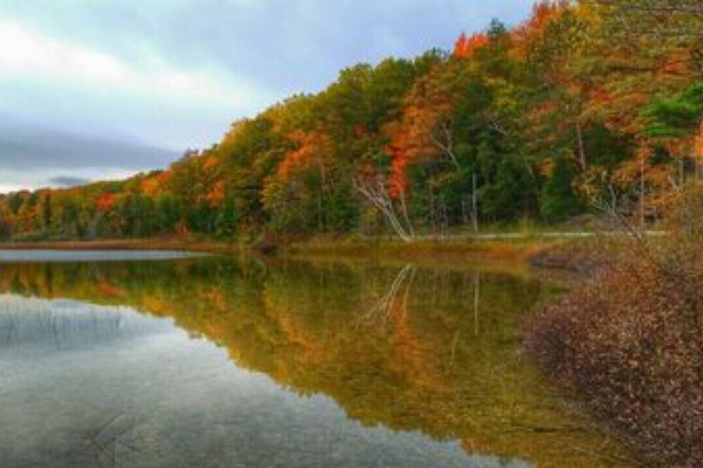 Photo of Outdoor in Federal Dam