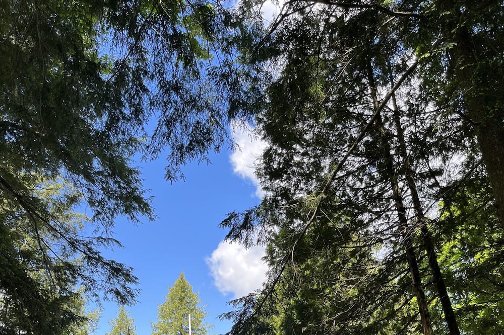 Photo of Outdoor in Baysville