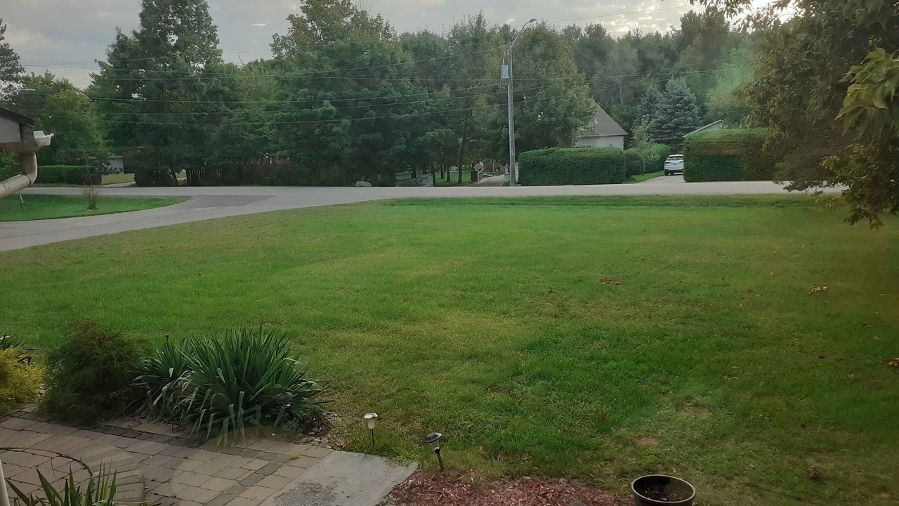 Photo of Outdoor in Whitby