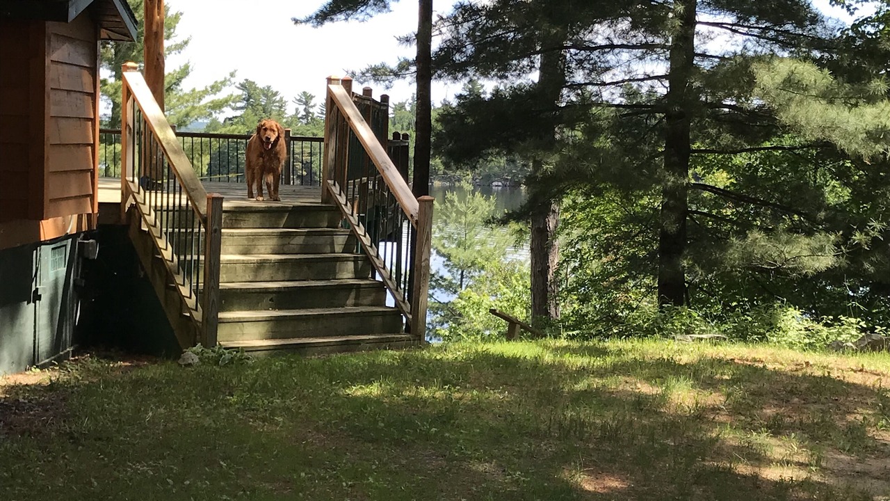 Photo of Outdoor in Ray