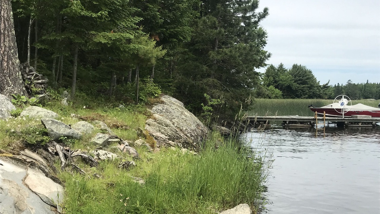 Photo of Outdoor in Ray