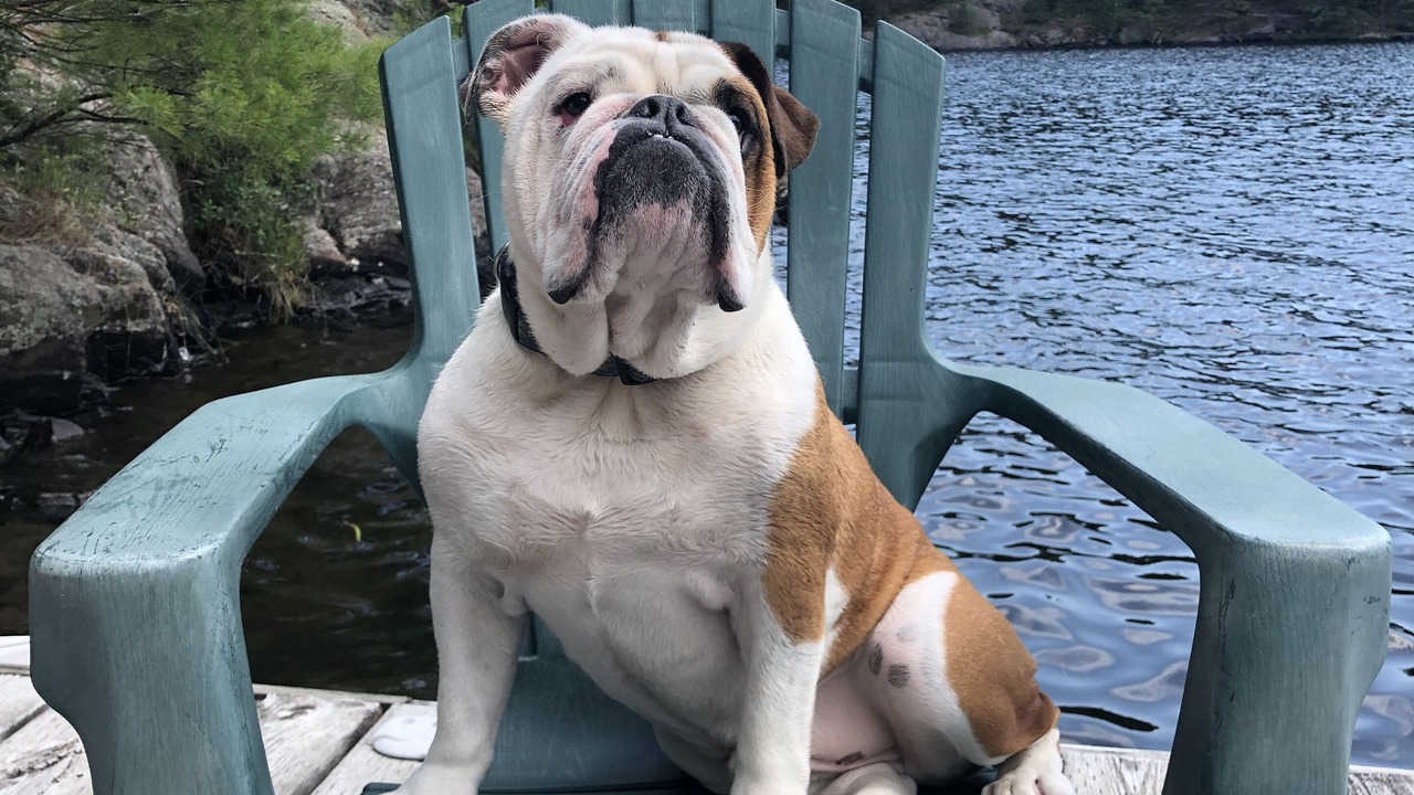 Photo of Outdoor in Georgian Bay