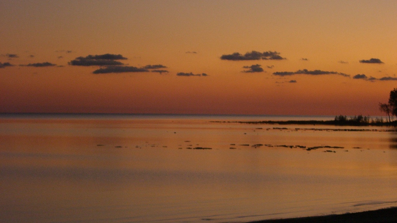 Photo of Others in Fort Erie