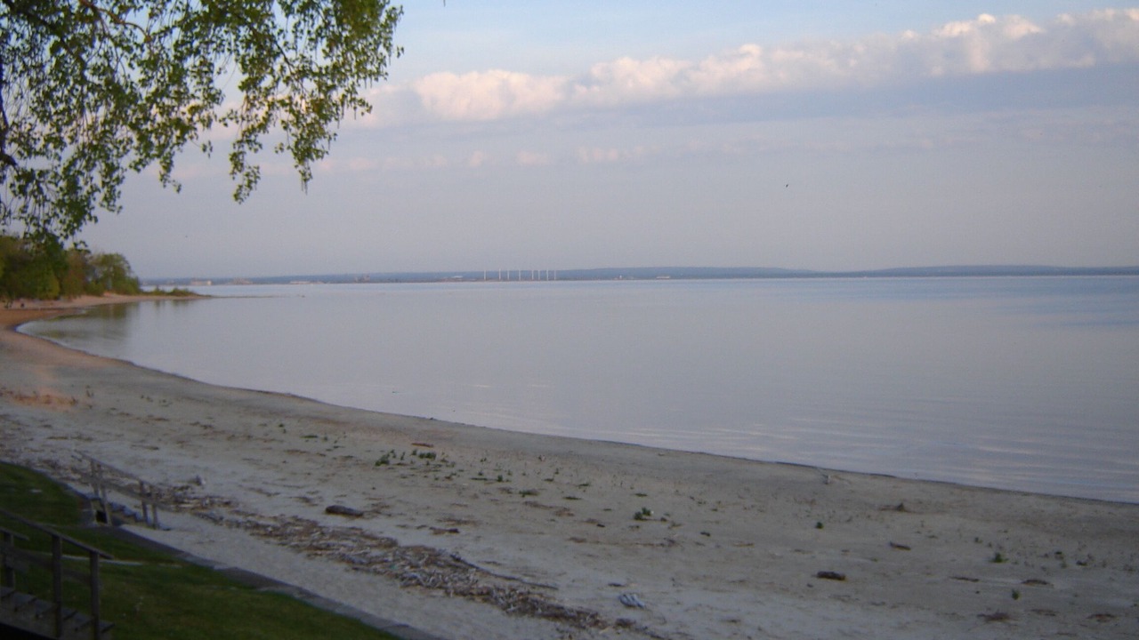 Photo of Others in Fort Erie