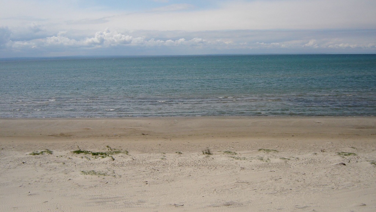 Photo of Others in Fort Erie