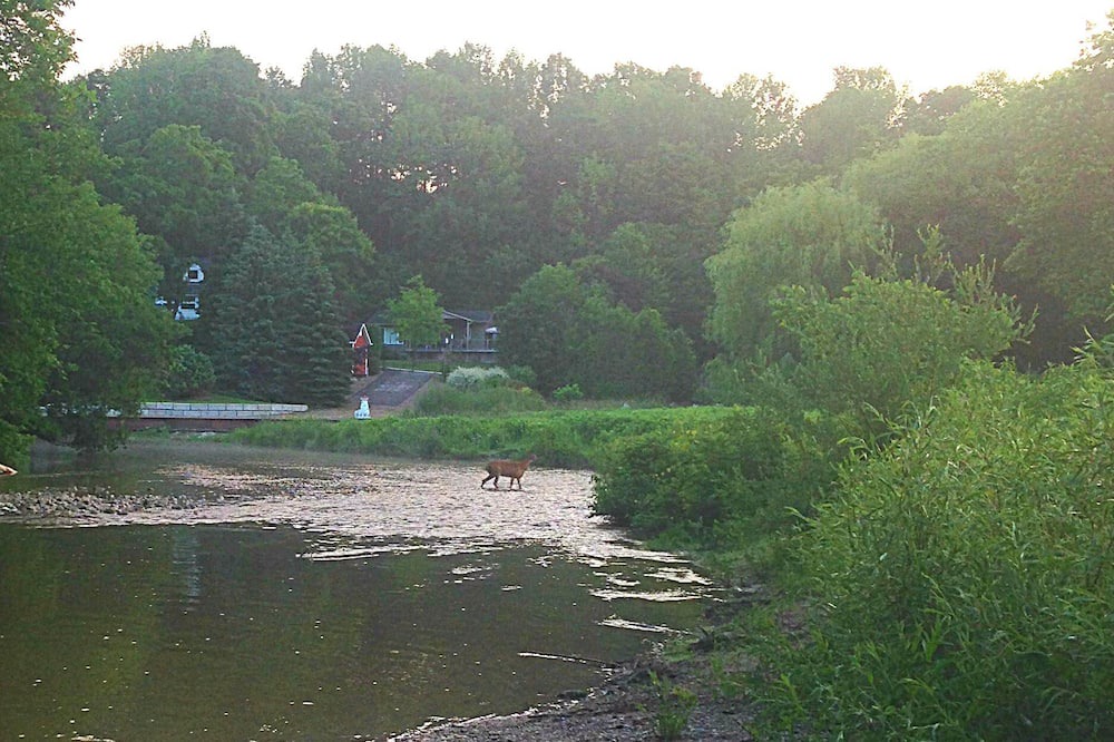 Photo of Outdoor in Port Albert