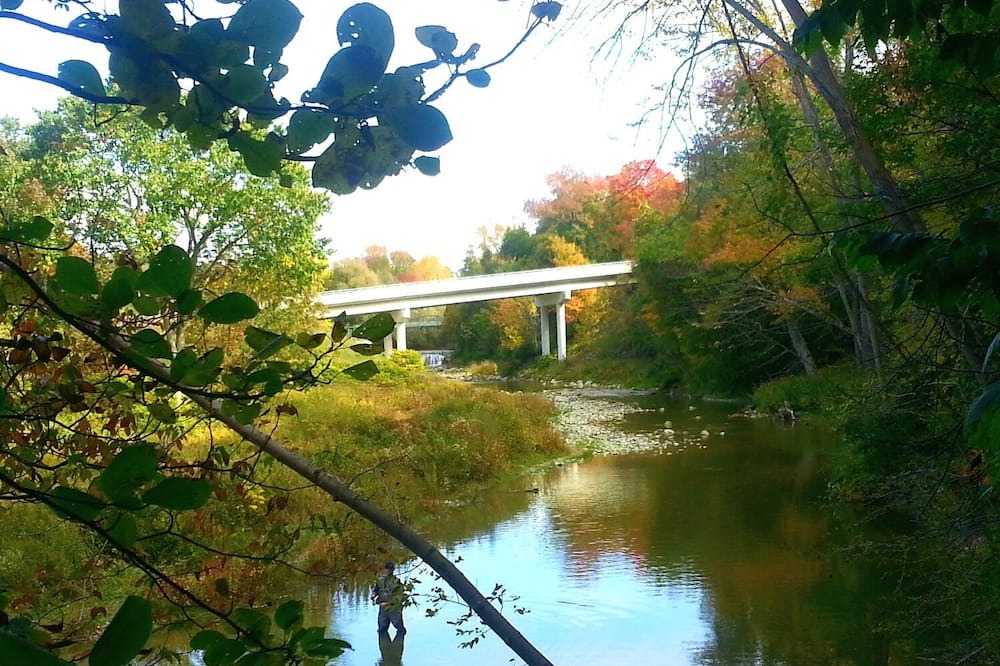 Photo of Outdoor in Port Albert