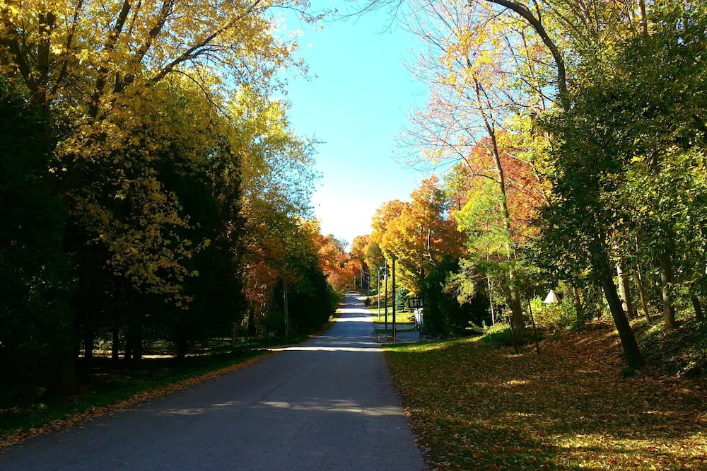Photo of Outdoor in Port Albert