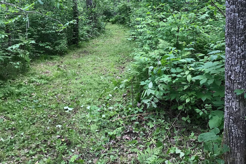 Photo of Outdoor in Sturgeon Lake
