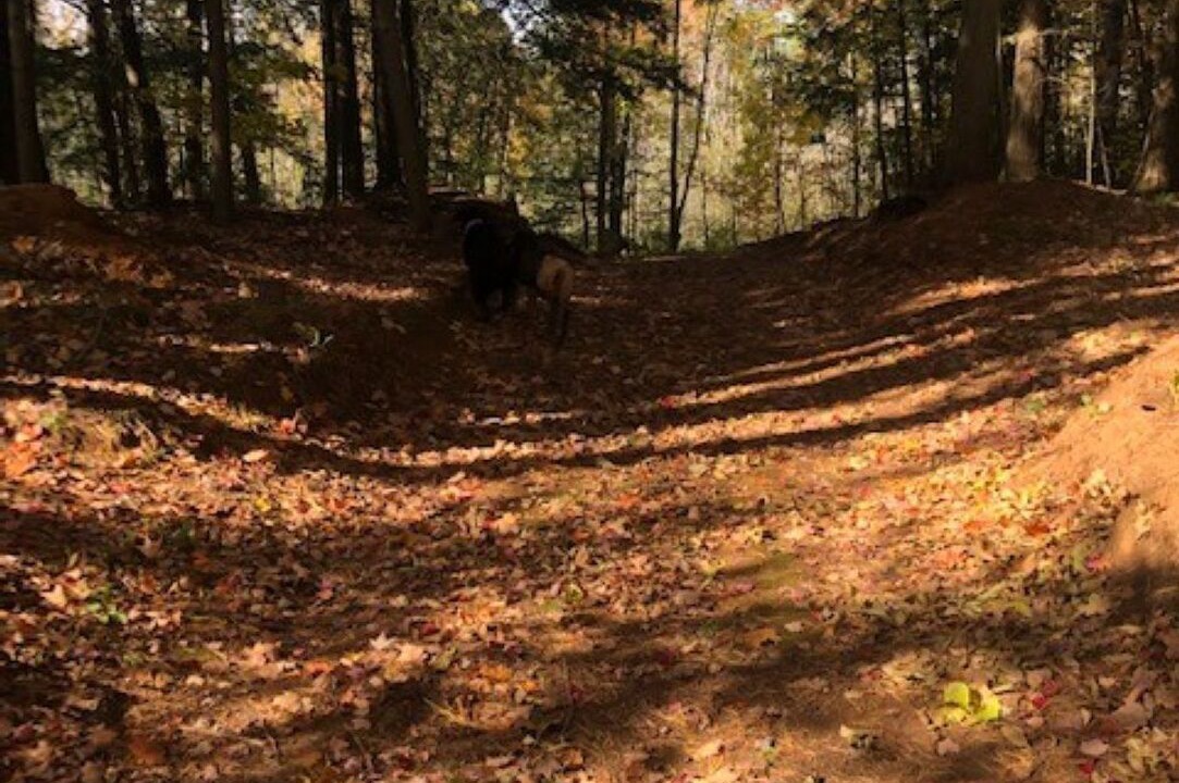 Photo of Outdoor in Trent Lakes