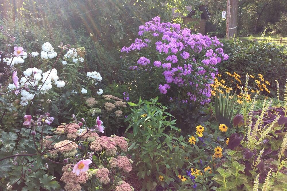Photo of Outdoor in Dundas