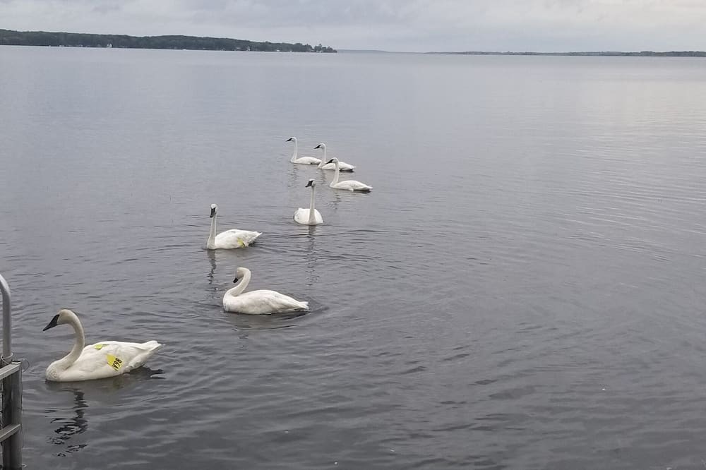 Photo of Others in Tay