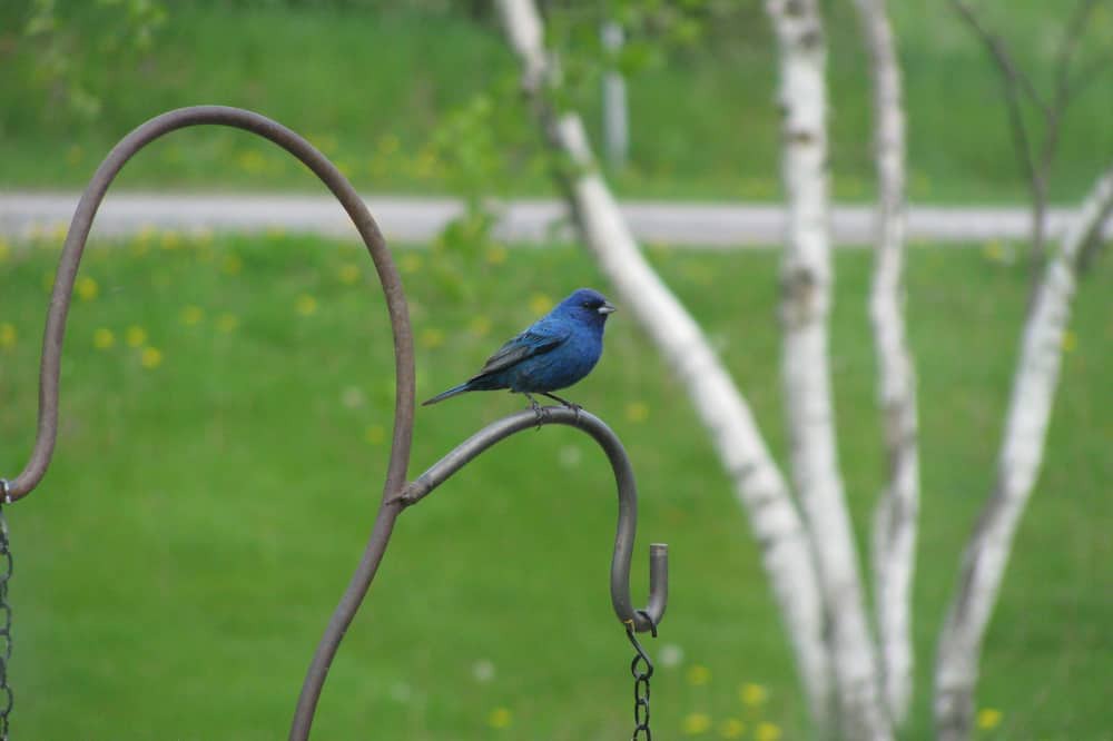 Photo of Others in Vineland