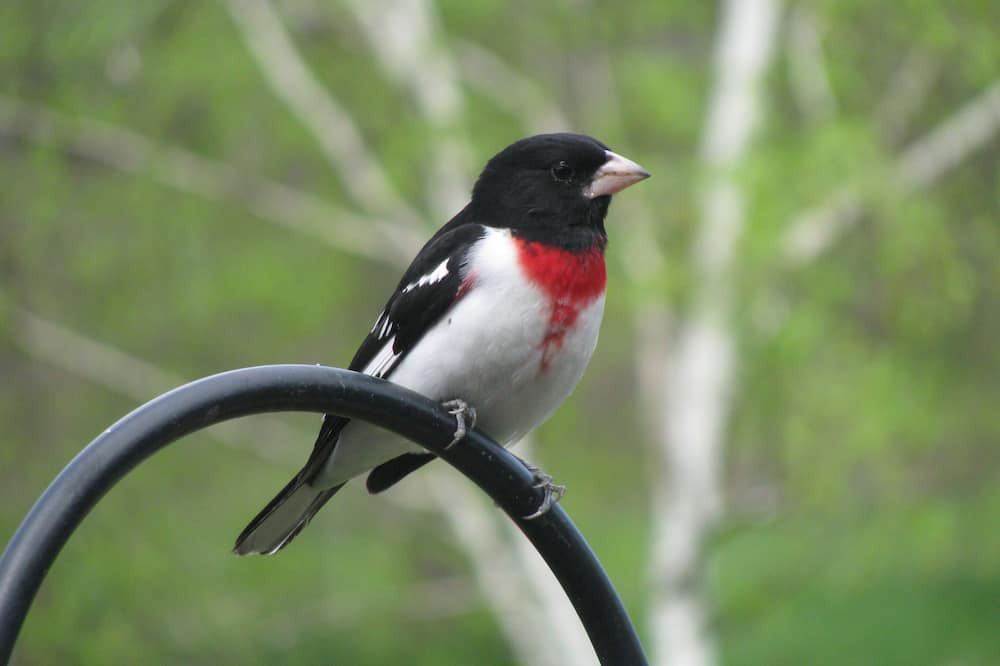 Photo of Others in Vineland