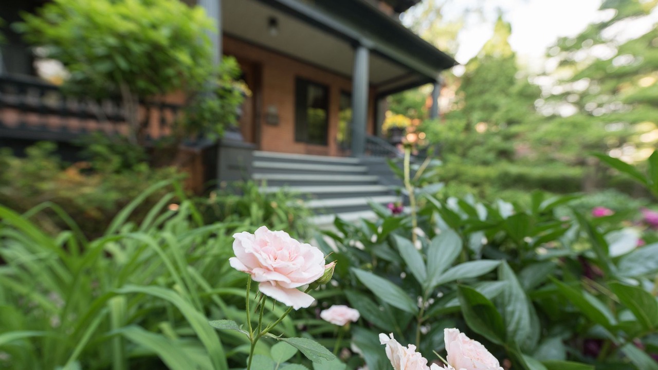 Photo of Outdoor in Summit - University