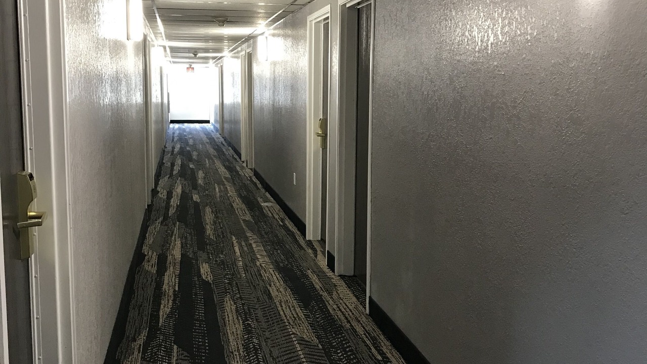 Photo of Others in Clearwater