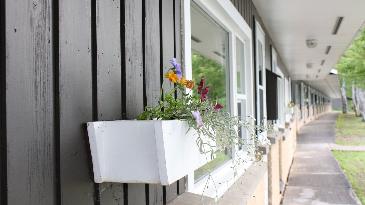 Photo of Patio Balcony in Algoma District