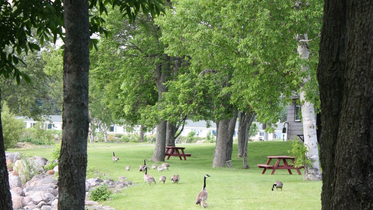 Photo of Outdoor in Algoma District
