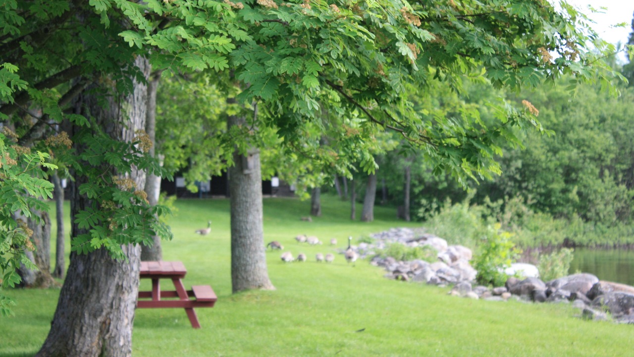 Photo of Outdoor in Algoma District