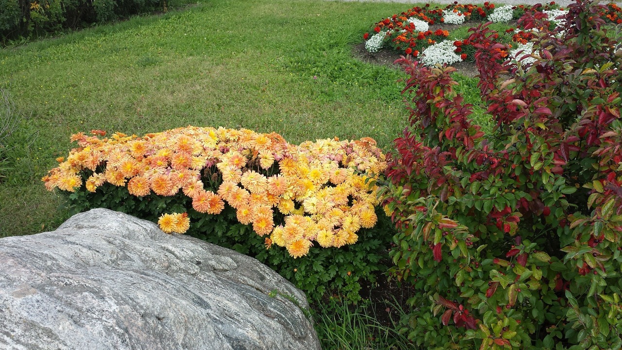 Photo of Outdoor in Chapleau