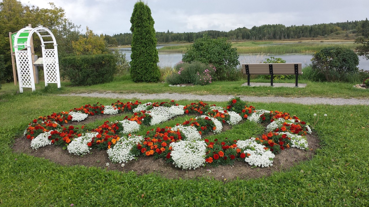 Photo of Outdoor in Chapleau
