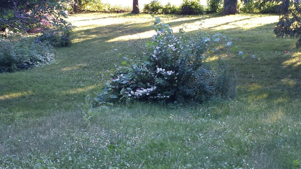 Photo of Outdoor in Kingston