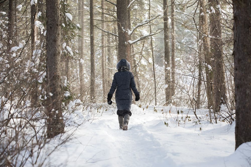 Photo of Others in Lake of Bays