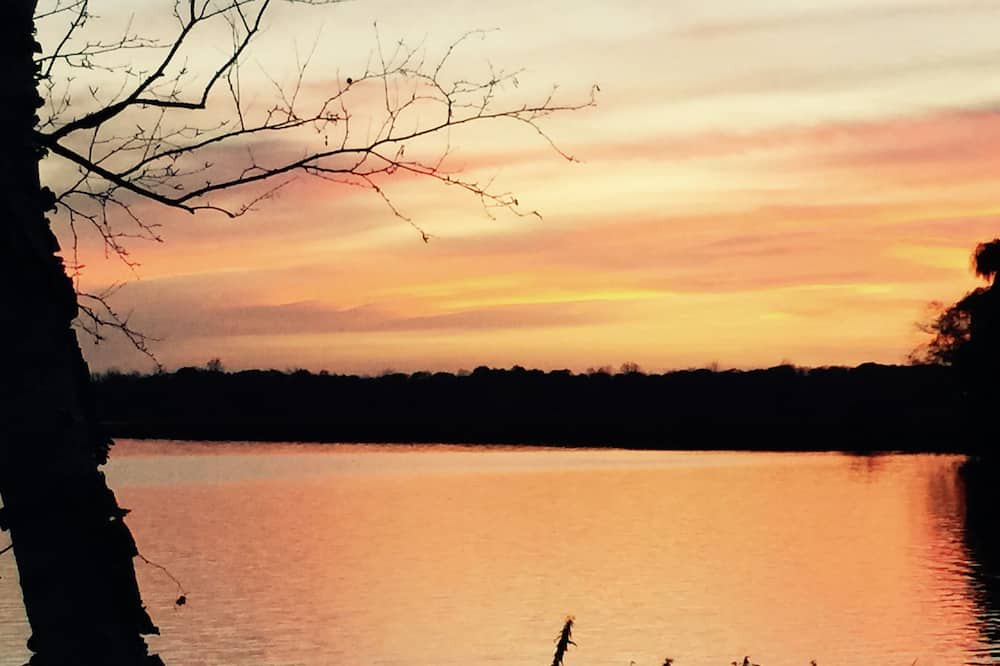 Photo of Others in Forest Lake