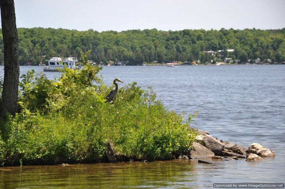 Photo of Others in Deer Bay