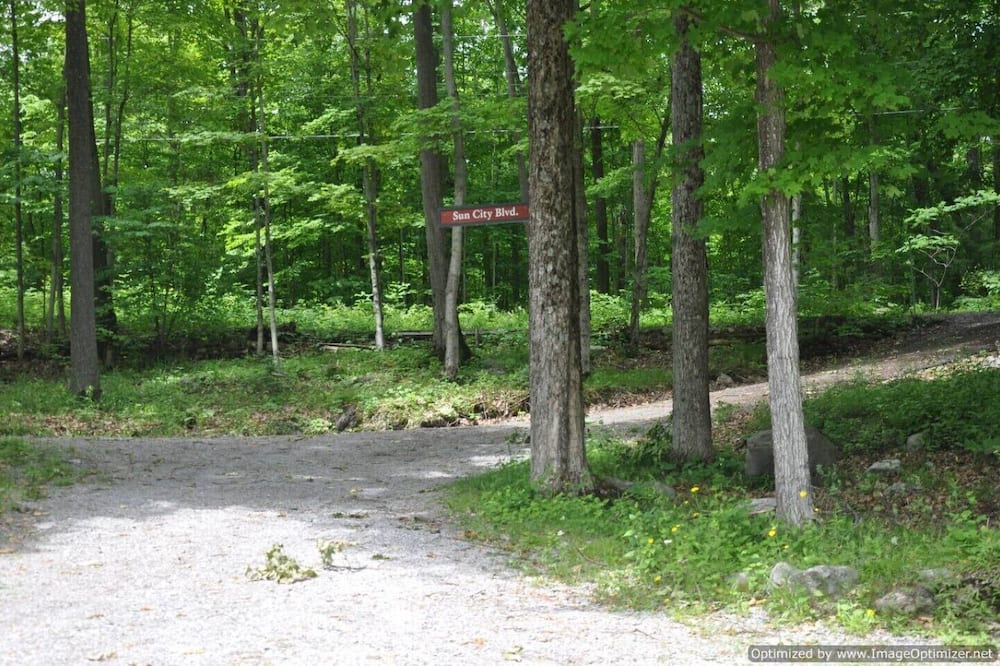 Photo of Others in Deer Bay