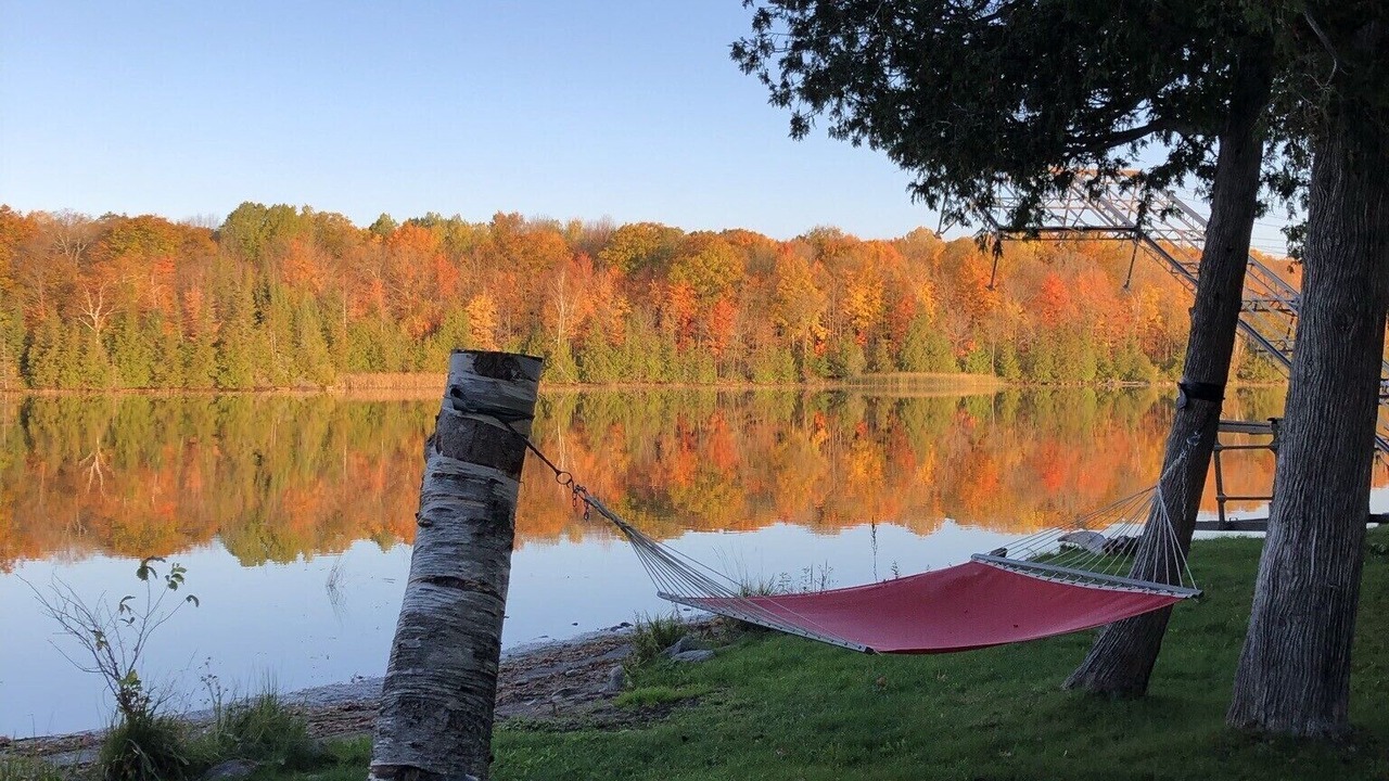 Photo of Outdoor in Selwyn
