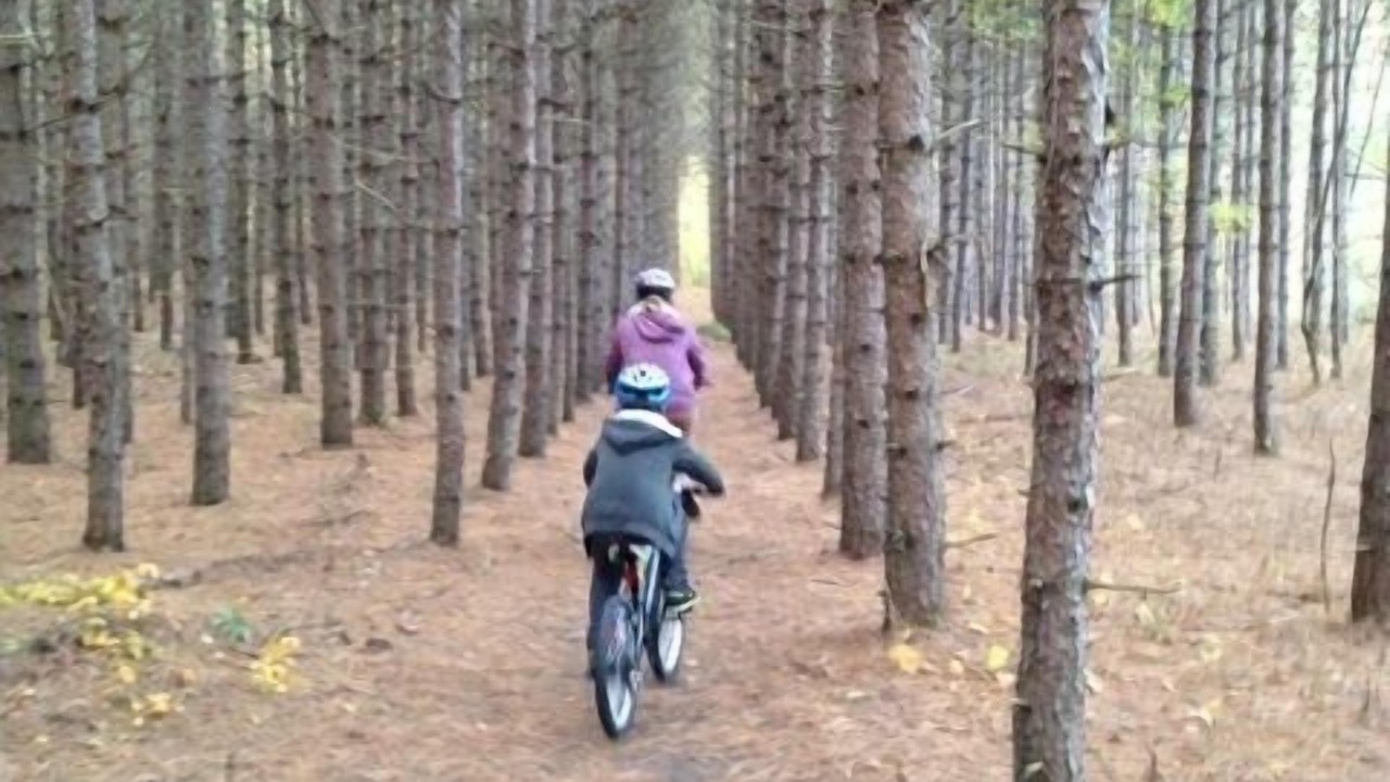 Photo of Others in Roseneath