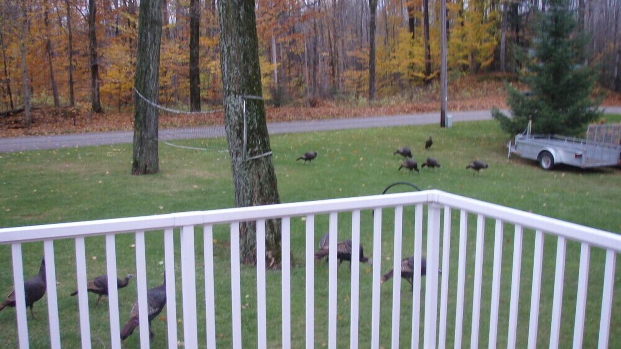 Photo of Outdoor in Sauble Beach
