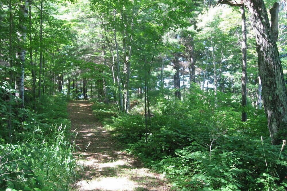 Photo of Others in Central Frontenac