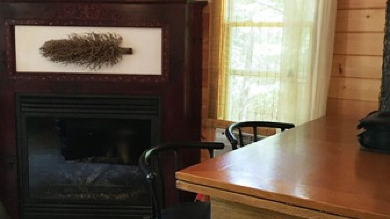 Photo of Livingroom in Arden