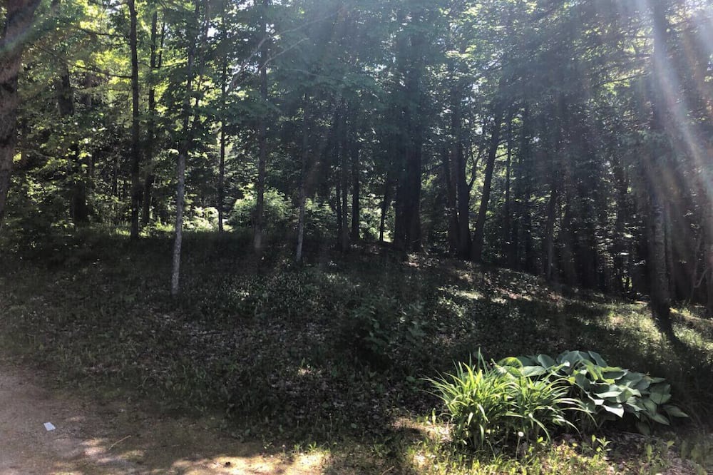 Photo of Outdoor in Irondale
