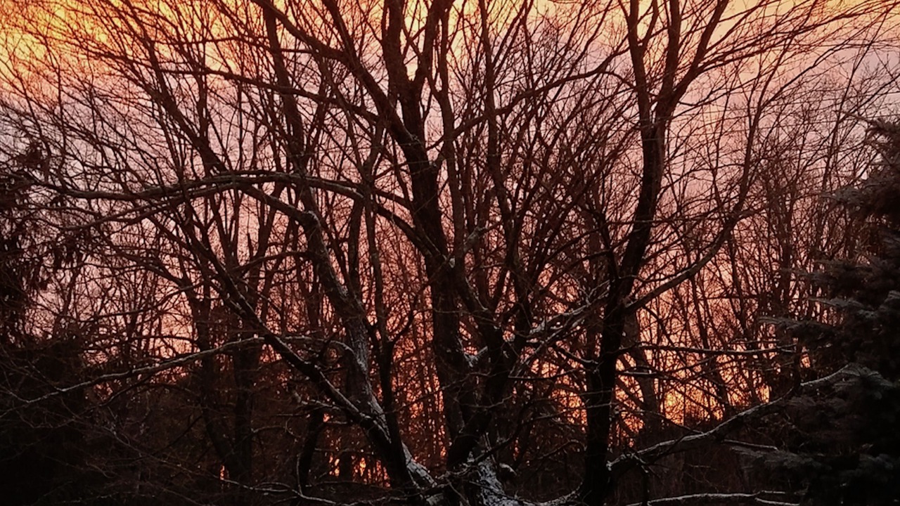 Photo of Outdoor in Rideau Lakes