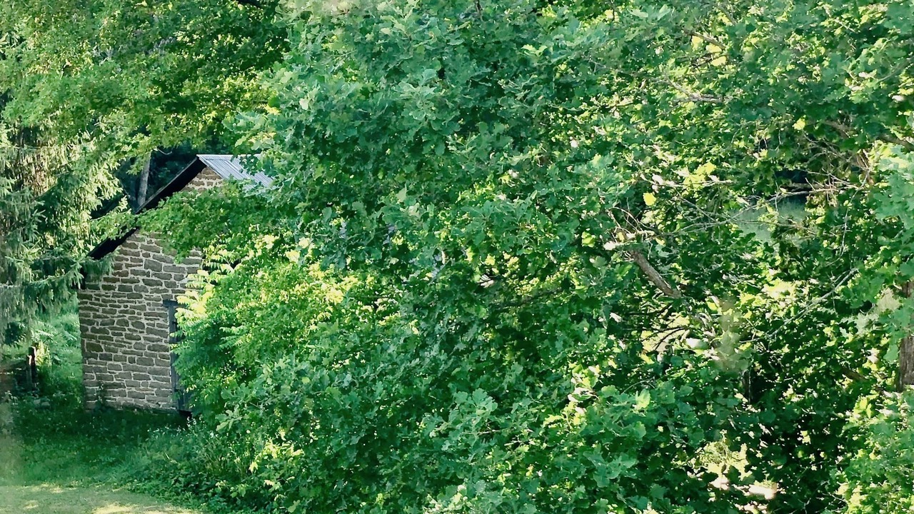 Photo of Outdoor in Rideau Lakes