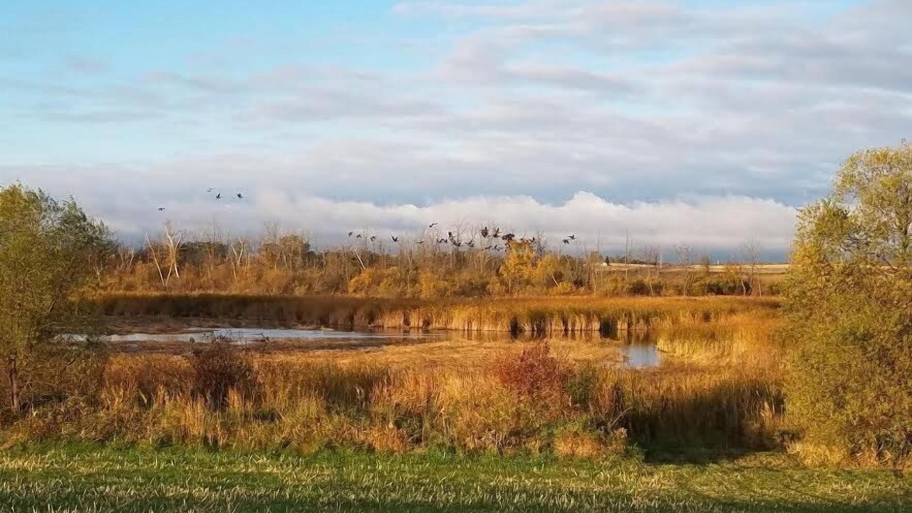 Photo of Outdoor in Pelican Rapids