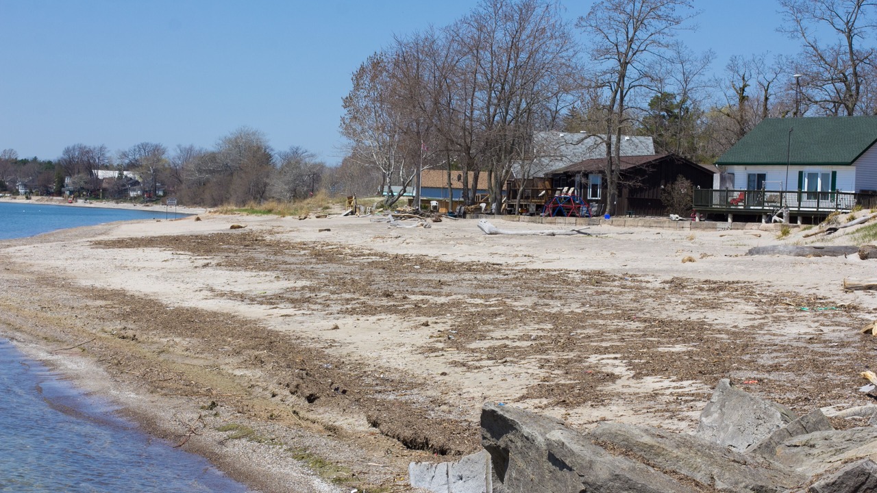 Photo of Others in Dunnville